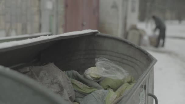 Безпритульний волоцюга шукає їжу в смітнику. Київ. Україна — стокове відео