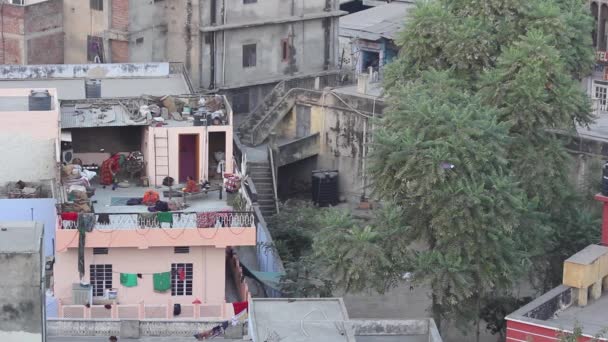 Paysage urbain de l'Inde. Rue de la ville. Peuple d'Inde. Asie . — Video