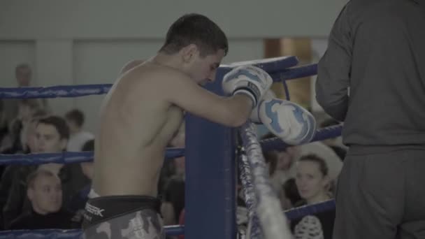 Kickboxing. Combattant et entraîneur dans le coin du ring. Kiev. Ukraine — Video