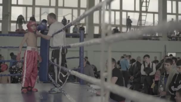 Kickboxing. Combattant et entraîneur dans le coin du ring. Kiev. Ukraine — Video