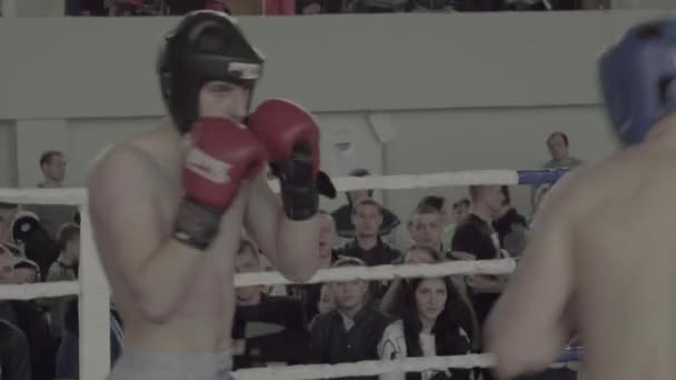 跆拳道 拳击场上的战斗 竞争。 Kyiv 。 乌克兰 — 图库视频影像