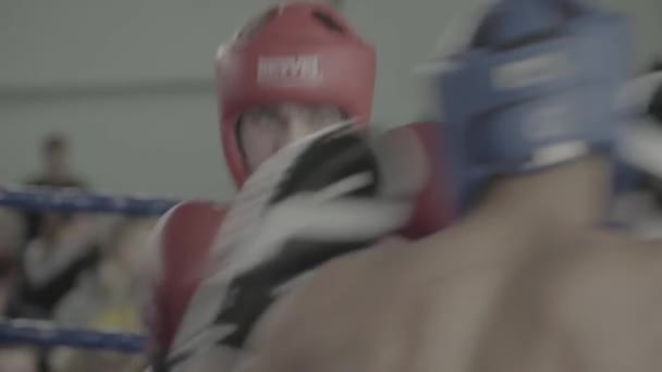 Kickboksen. Het gevecht in de ring. Wedstrijd. Kiev. Oekraïne — Stockvideo