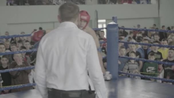 Kickboxing. Walka na ringu. Konkurencja. Kijów. Ukraina — Wideo stockowe