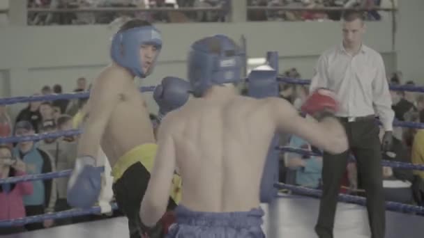 Kickboxing. Walka na ringu. Konkurencja. Kijów. Ukraina — Wideo stockowe