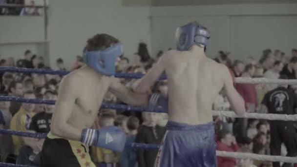 Kickboxing. Walka na ringu. Konkurencja. Kijów. Ukraina — Wideo stockowe