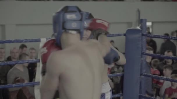 Kickboxing. La rissa sul ring. Competizione. Kiev. Ucraina — Video Stock