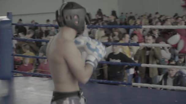 Kickboxing. Walka na ringu. Konkurencja. Kijów. Ukraina — Wideo stockowe