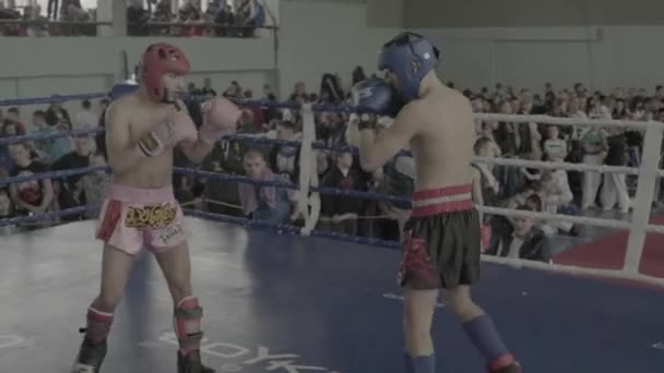 Kickboxing. Le combat sur le ring. La concurrence. Kiev. Ukraine — Video