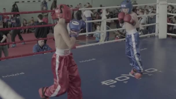 キックボクシングだ指輪の戦いだ競争だキエフ。ウクライナ — ストック動画