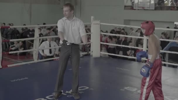 Kickboxing. A luta no ringue. Competição. Kiev. Ucrânia — Vídeo de Stock