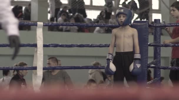 Kickboxning. En ung boxare i ringhörnan. Kiev. Ukraina — Stockvideo