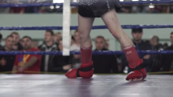 Kickboxing. Kickboxer jambes pendant le combat. Pieds. Mouvement lent — Video