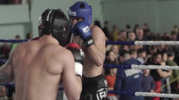 Kickboxing. A luta no ringue. Competição. Kiev. Ucrânia. Movimento lento — Vídeo de Stock