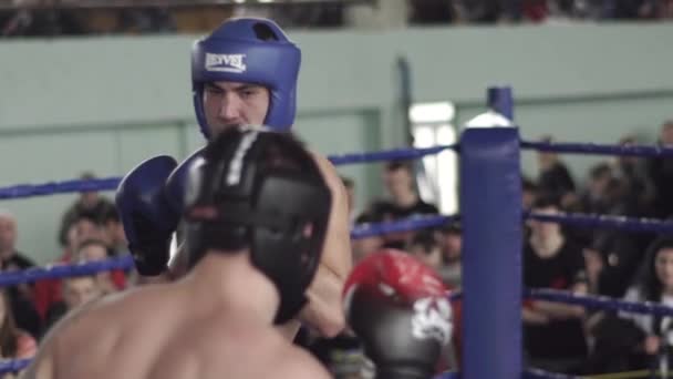 Kickboxing. A luta no ringue. Competição. Kiev. Ucrânia. Movimento lento — Vídeo de Stock