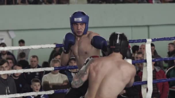 Kickboxing. A luta no ringue. Competição. Kiev. Ucrânia. Movimento lento — Vídeo de Stock