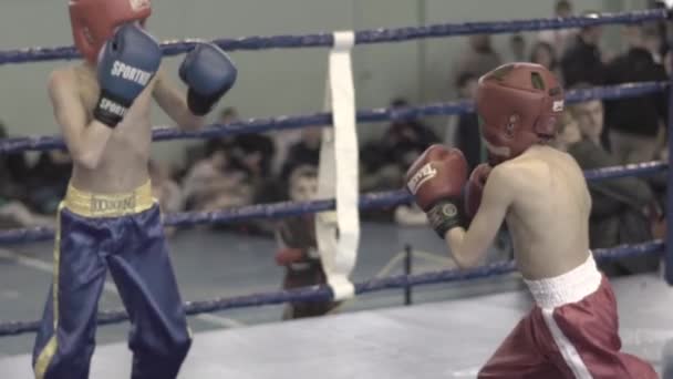 Kickboxing. The fight in the ring. Competition. Kyiv. Ukraine. Slow motion — Stock Video