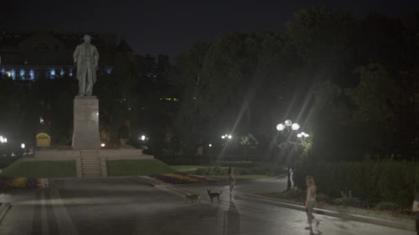 Monument över Taras Shevchenko på natten. Kiev. Ukraina — Stockvideo
