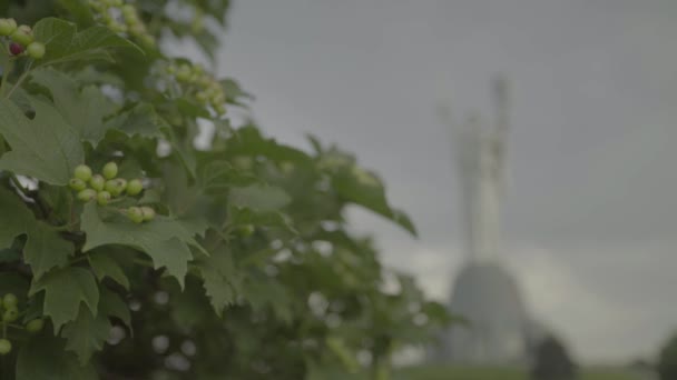 Monumento a la Patria. Kiev. Ucrania — Vídeos de Stock