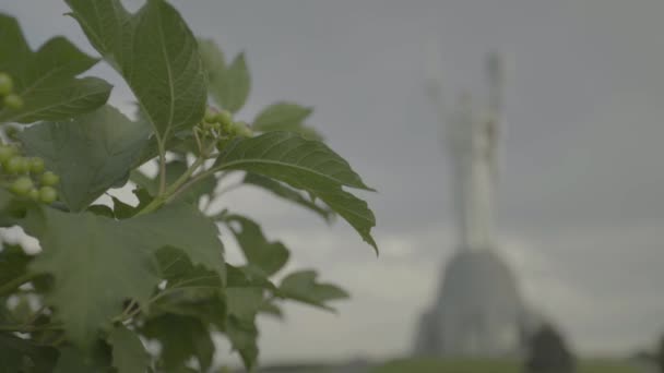 Monument Moederland. Kiev. Oekraïne — Stockvideo