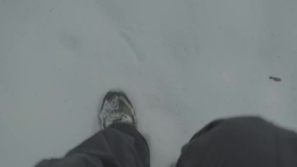 Un hombre se perdió en un bosque nevado en invierno. POV — Vídeo de stock