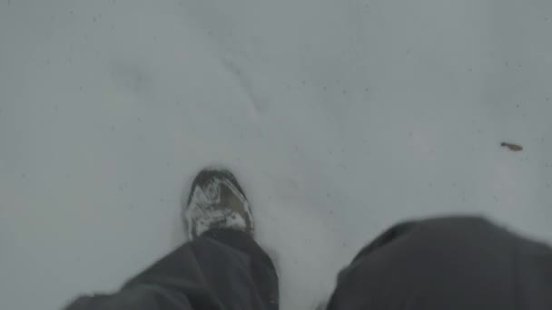 En man gick vilse i en snöig skog på vintern. Pov — Stockvideo