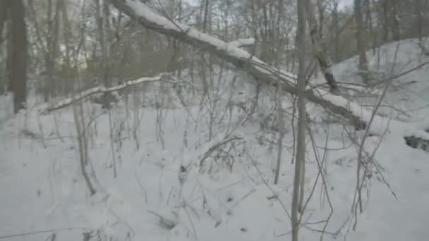 Чоловік загубився в сніжному лісі взимку. ПОВ — стокове відео