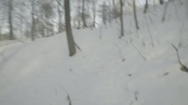 V zimě se v zasněženém lese ztratil muž. Pov — Stock video