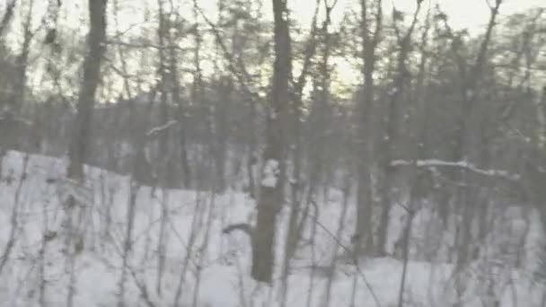 Un homme s'est perdu dans une forêt enneigée en hiver. Point de vue 
