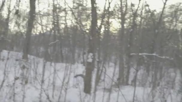 Ein Mann hat sich im Winter in einem verschneiten Wald verirrt. Mehr dazu lesen Sie hier — Stockvideo