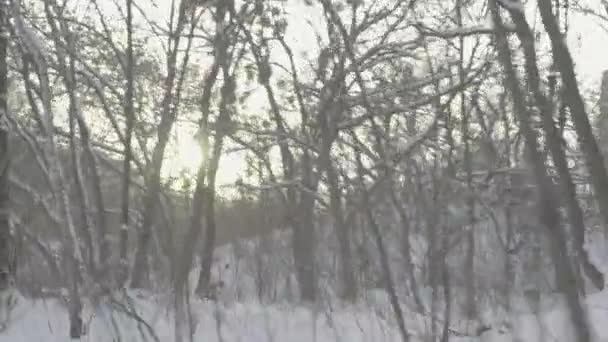 Un hombre se perdió en un bosque nevado en invierno. POV — Vídeos de Stock