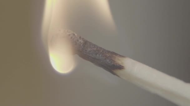 allumette brûlante. Gros plan. Macro. Mouvement lent 