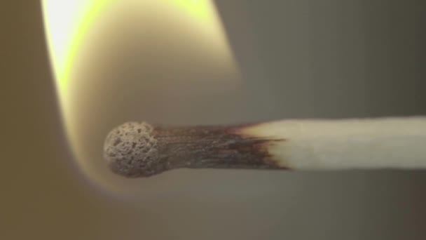 allumette brûlante. Gros plan. Macro. Mouvement lent 