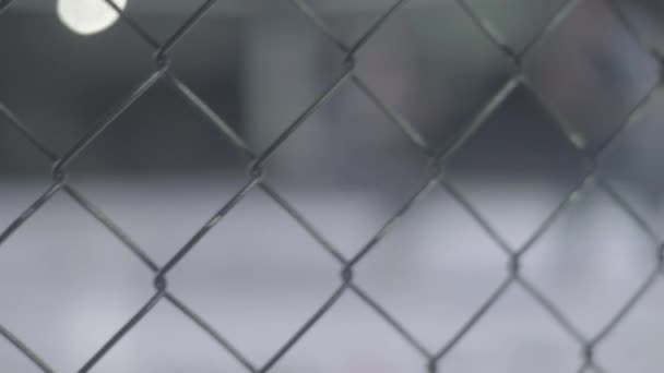 Iron mesh cage MMA. Close-up. — Stock Video