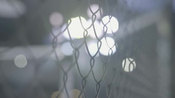 Iron mesh cage MMA. Close-up. — Stock Video