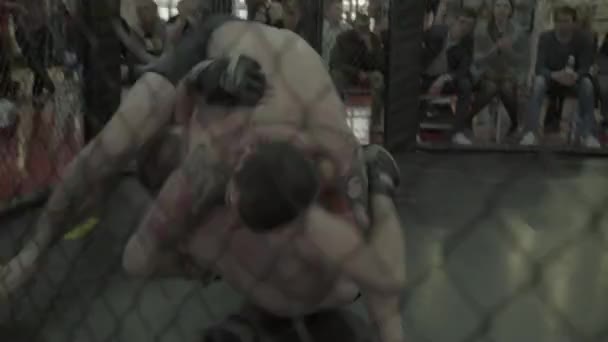 Lucha en el octágono MMA. Kiev. Ucrania — Vídeos de Stock