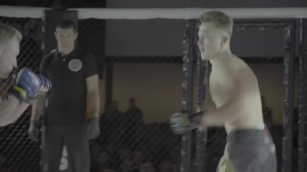 Lucha en el octágono MMA. Kiev. Ucrania — Vídeo de stock