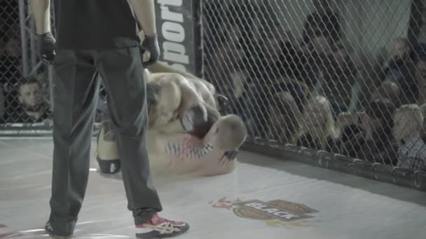 Battez-vous dans l'octogone MMA. Kiev. Ukraine — Video