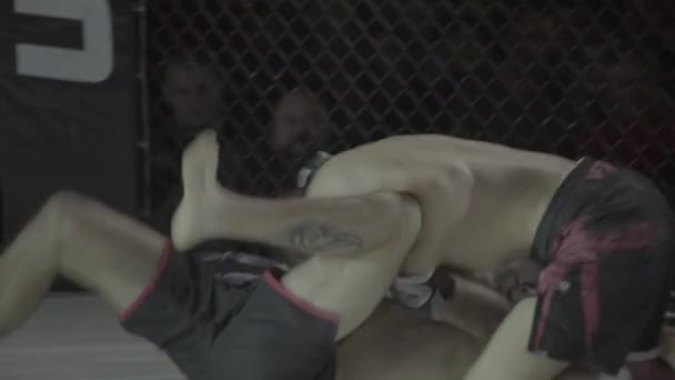 Vechten in de Mma octagon. Kiev. Oekraïne — Stockvideo