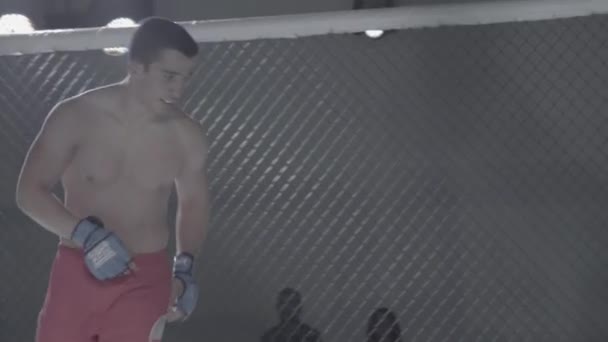 Luta no octógono MMA. Kiev. Ucrânia — Vídeo de Stock