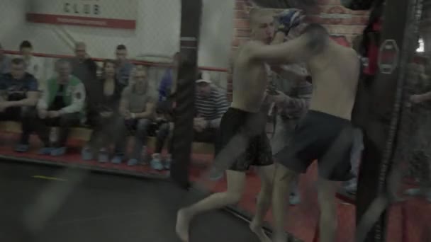 Un combattant masculin dans l'octogone MMA. Kiev. Ukraine — Video