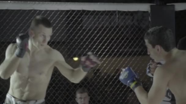 Combatti nell'ottagono delle MMA. Al rallentatore. Kiev. Ucraina — Video Stock