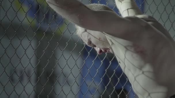 Un combattant masculin dans l'octogone MMA. Au ralenti. Kiev. Ukraine — Video