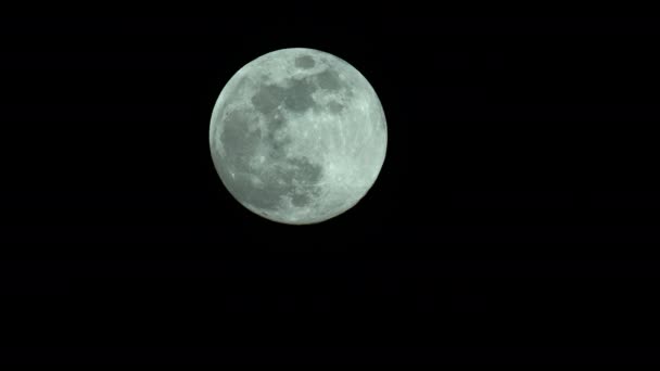 Gros plan sur Fool Moon 4K UHD. Planète satellite .