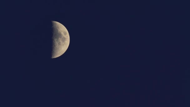 Moon 4K UHD close-up. Planet satellite. — 비디오