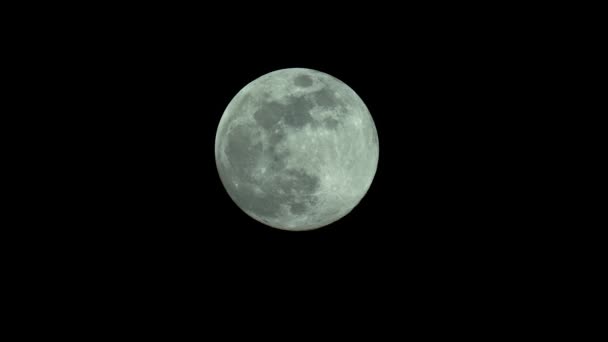 Fool Moon 4K UHD primer plano. Planeta satélite . — Vídeos de Stock