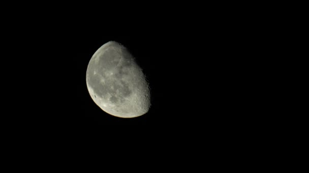 Moon 4K UHD close-up. Planet satellite. — 비디오
