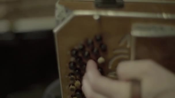 Müzisyen barda akordeon çalar. Kyiv. Ukrayna — Stok video