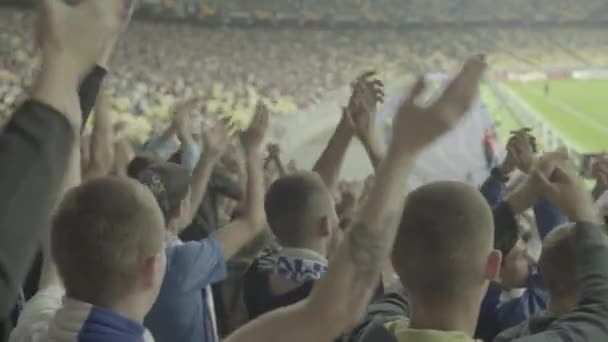 Fani na stadionie podczas meczu. Olimpijski. Kijów. Ukraina. — Wideo stockowe