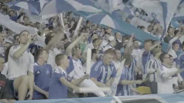 Ventilateurs dans le stade pendant le match. Olimpiyskiy. Kiev. Ukraine. — Video