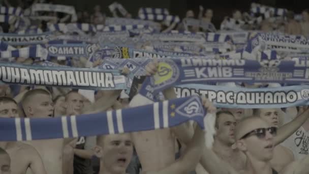 Fans i arenan under matchen. Olimpiskt. Kiev. Ukraina. — Stockvideo